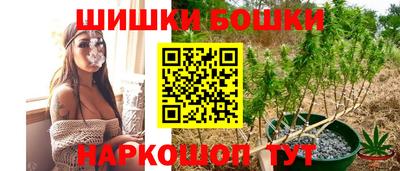 индика Чебаркуль