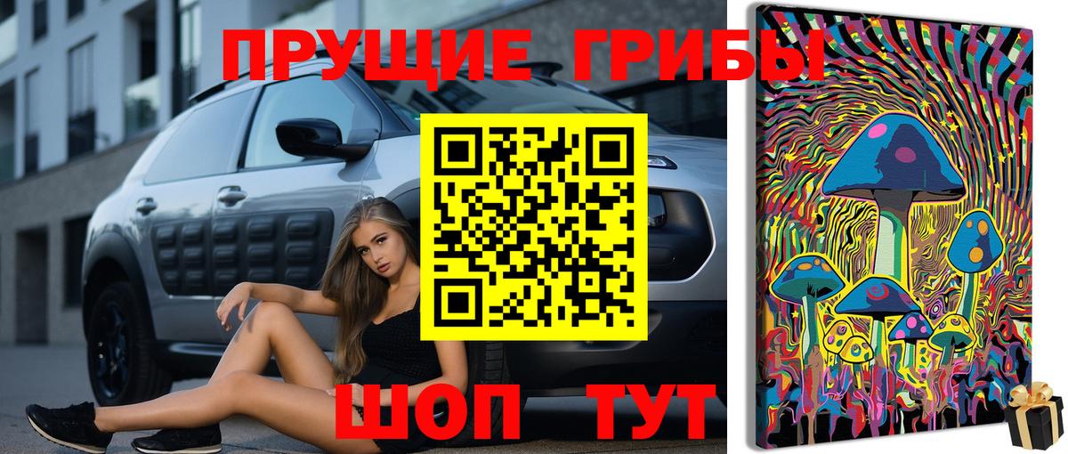Галлюциногенные грибы Psilocybe  Галлюциногенные грибы прущие грибы  Ахтубинск  Вход с VPN 