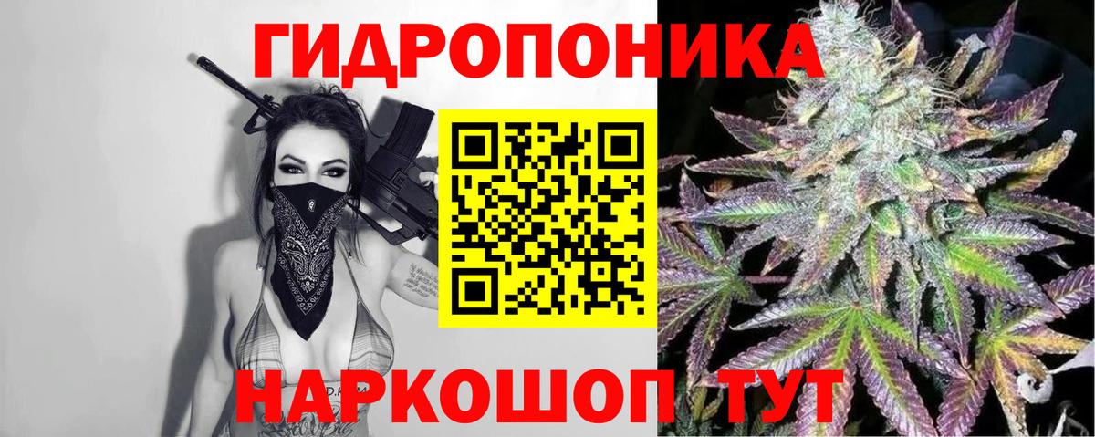 Канабис AK-47  Шишки марихуана семена  Бошки марихуана сатива  Ахтубинск  Вход с VPN 